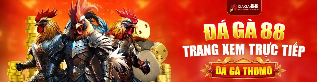 Tận dụng các ưu đãi và khuyến mãi từ Xin88 Win